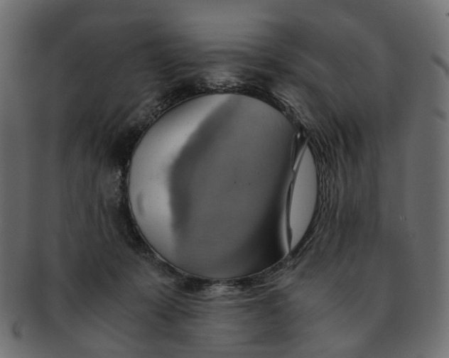 X0000091540319200709071110