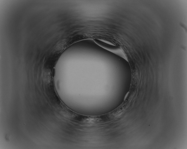 X0000091540323200709071110