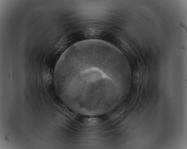 X0000091540324200709071110