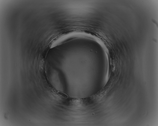 X0000091540325200709071110