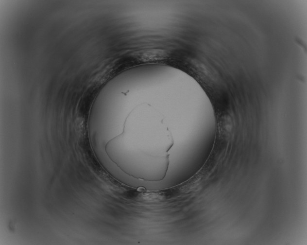 X0000091540327200709071110