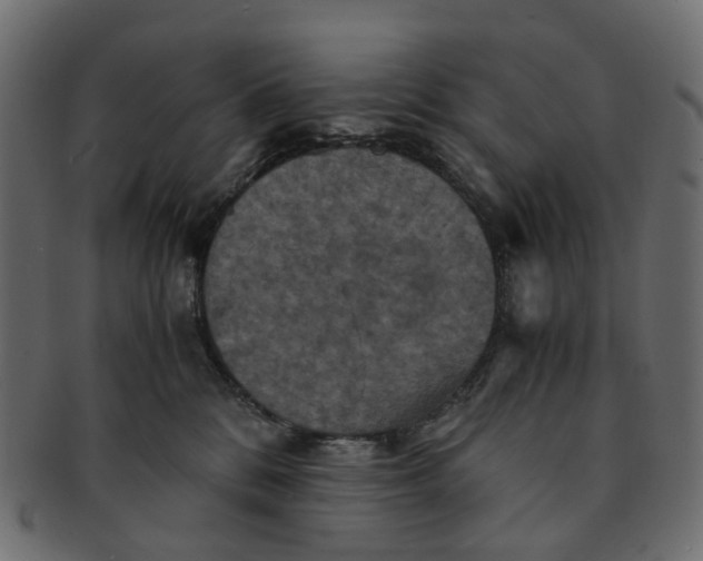 X0000091540328200709071110