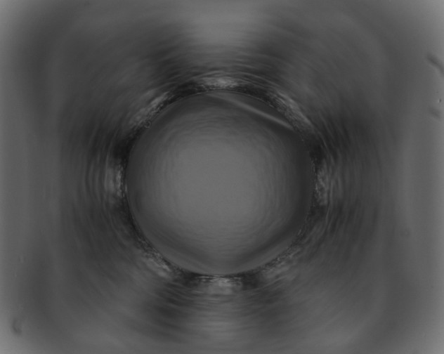 X0000091540330200709071110