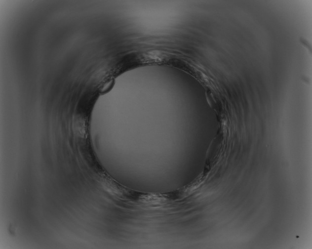 X0000091540331200709071110