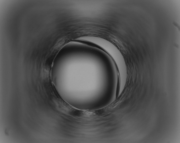 X0000091540333200709071110