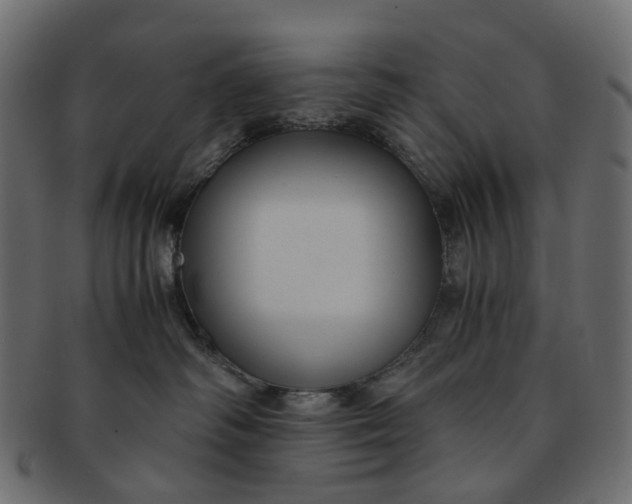 X0000091540334200709071110