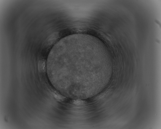 X0000091540336200709071110