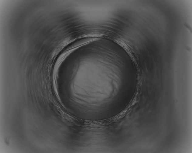 X0000091540337200709071109