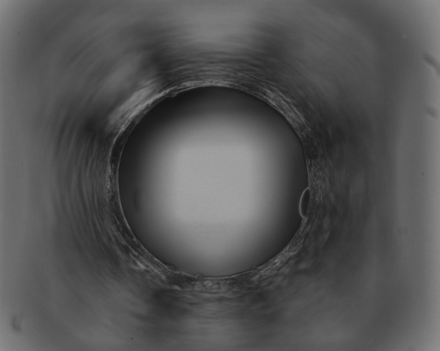 X0000091540338200709071109