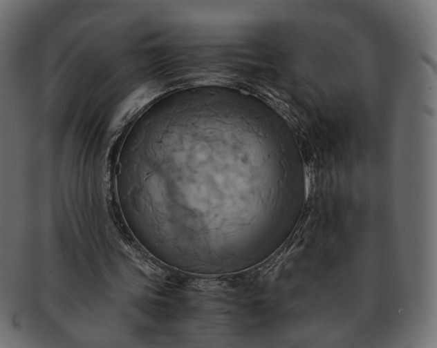 X0000091540339200709071109