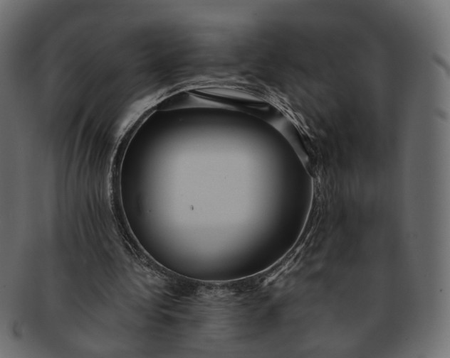 X0000091540340200709071109