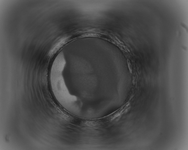 X0000091540341200709071109