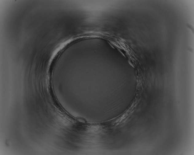 X0000091540342200709071109