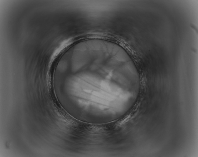 X0000091540343200709071109