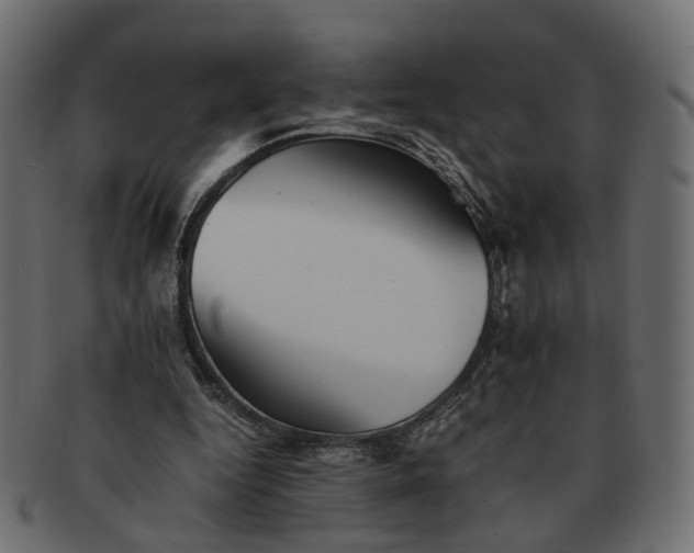 X0000091540344200709071109