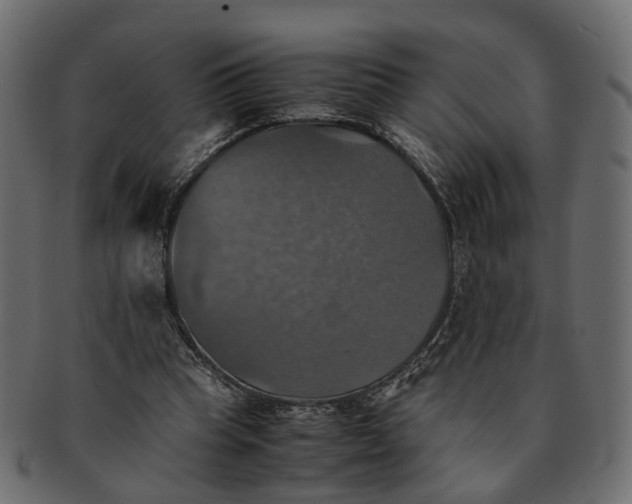 X0000091540345200709071109