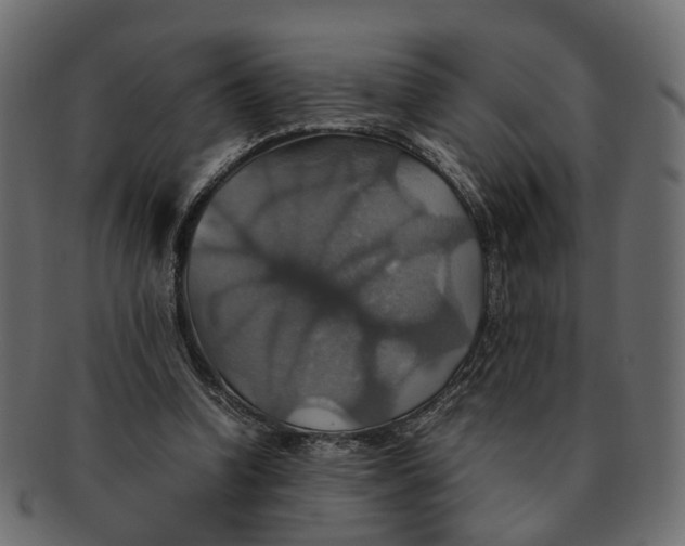 X0000091540346200709071109