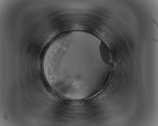 X0000091540347200709071109