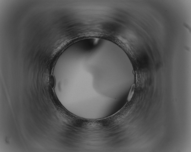 X0000091540348200709071109