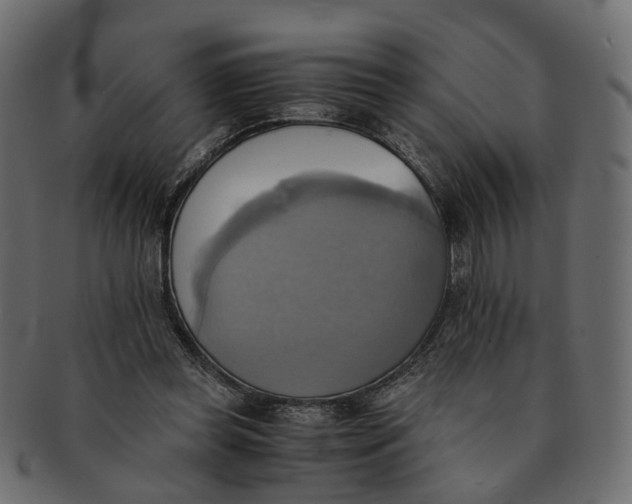 X0000091540349200709071109