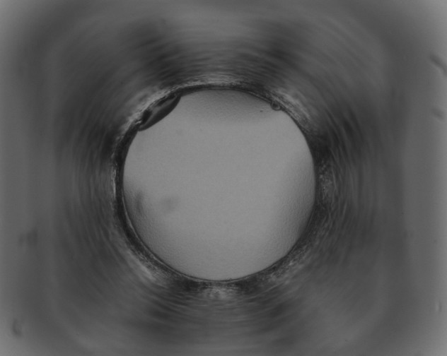 X0000091540350200709071109