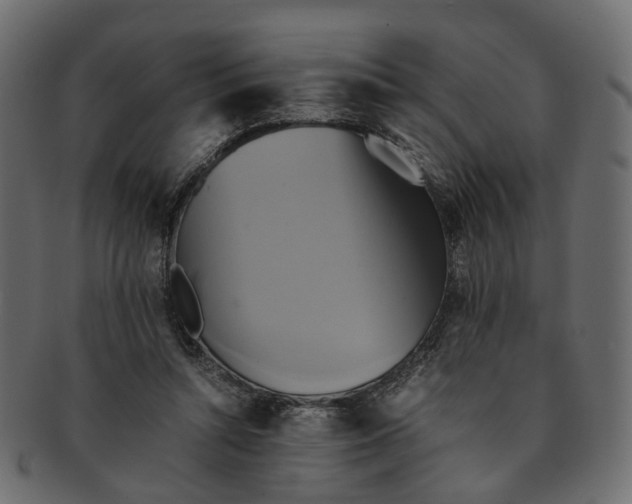 X0000091540352200709071109