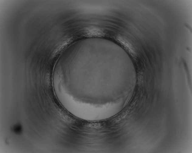 X0000091540353200709071109