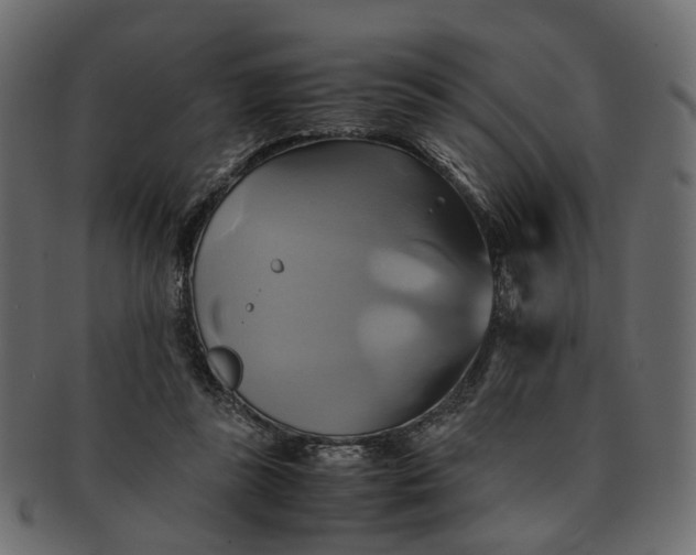 X0000091540355200709071109