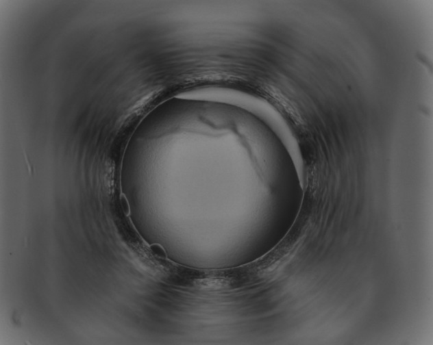 X0000091540356200709071109