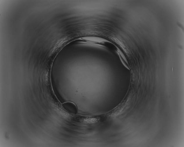 X0000091540357200709071109