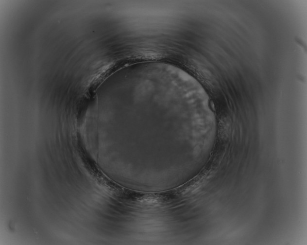 X0000091540358200709071109