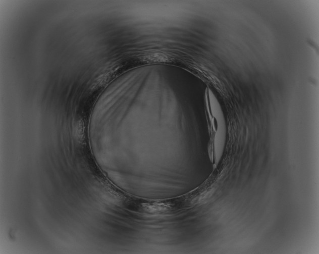 X0000091540359200709071109