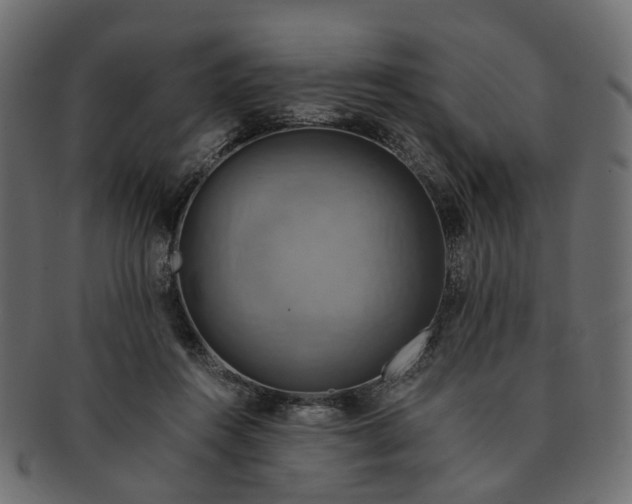 X0000091540360200709071109