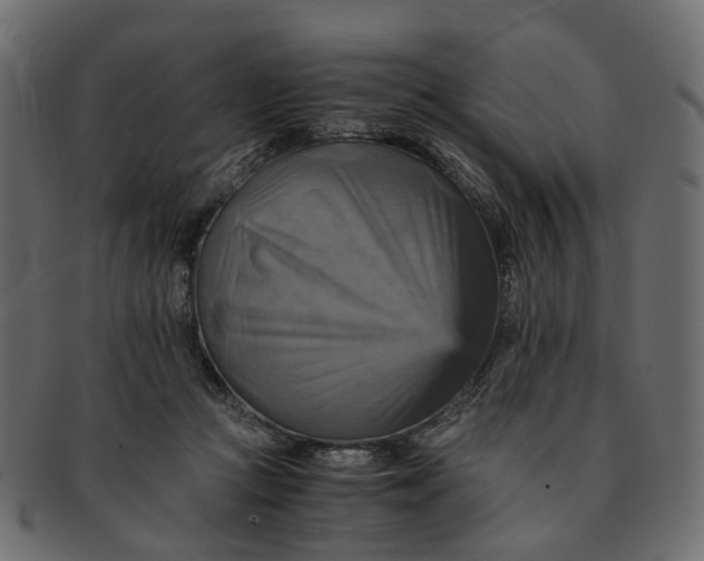 X0000091540361200709071109