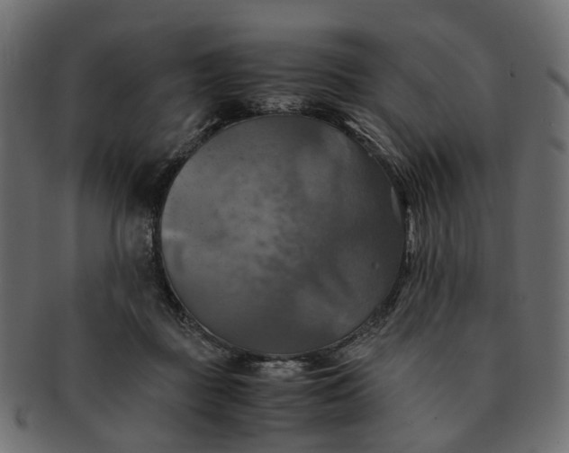 X0000091540363200709071109