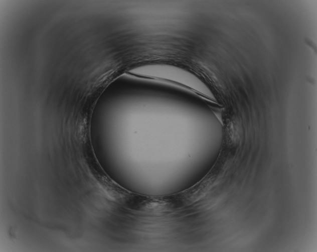 X0000091540364200709071109