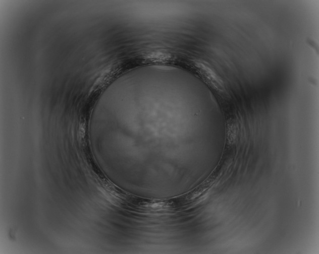 X0000091540365200709071109