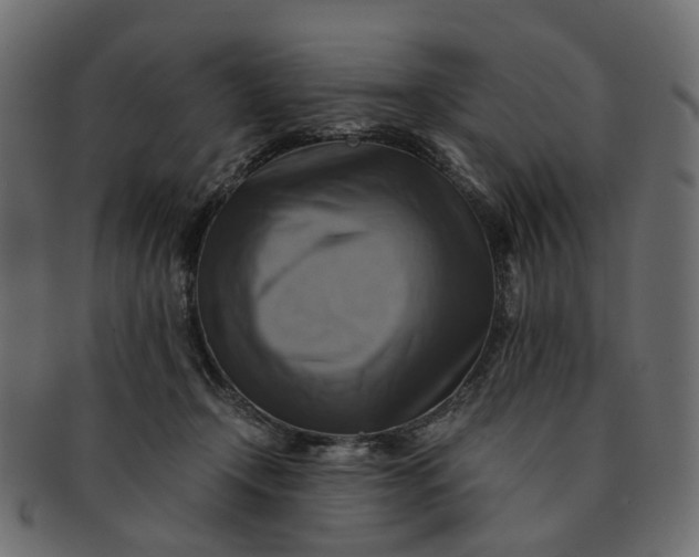 X0000091540366200709071109