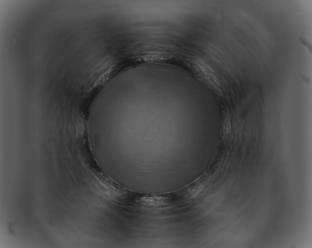 X0000091540367200709071109