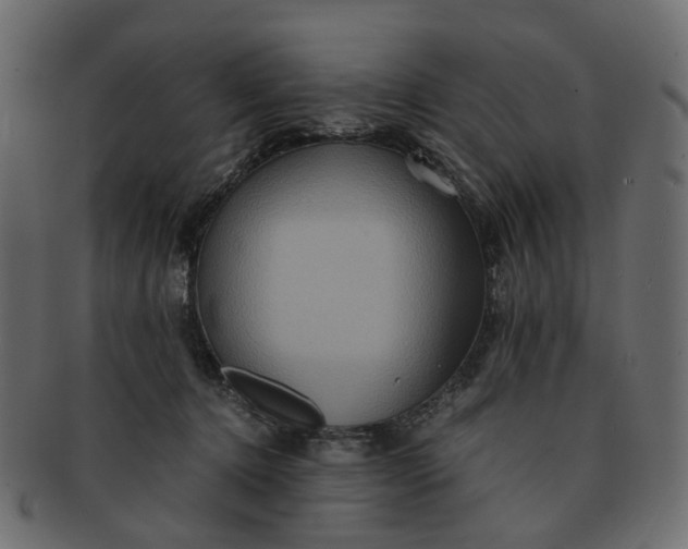 X0000091540368200709071109