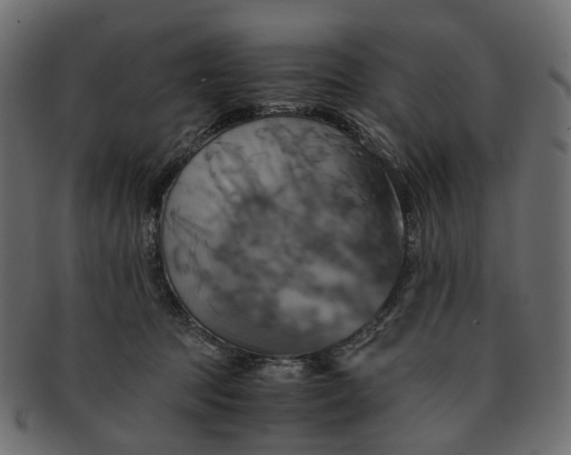 X0000091540369200709071109