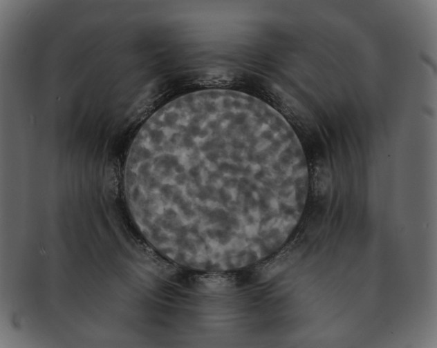 X0000091540370200709071109