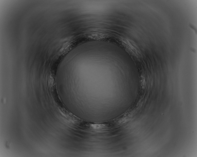 X0000091540371200709071109