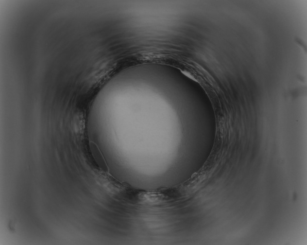 X0000091540372200709071109