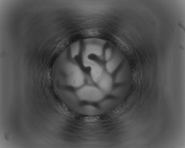 X0000091540373200709071109