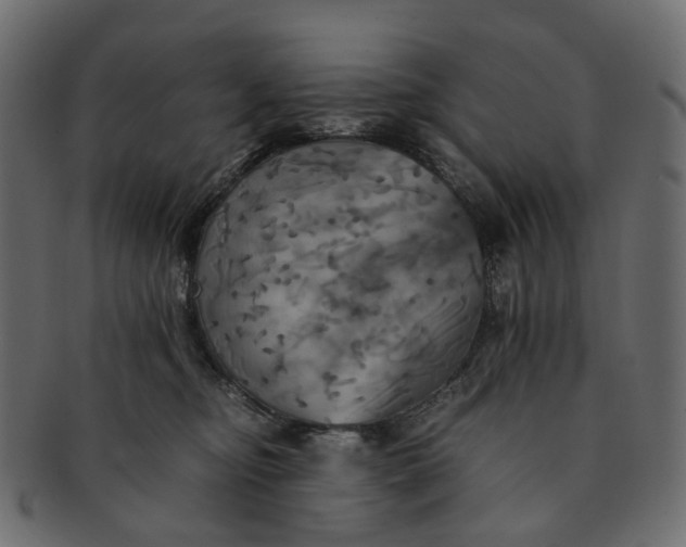 X0000091540374200709071109