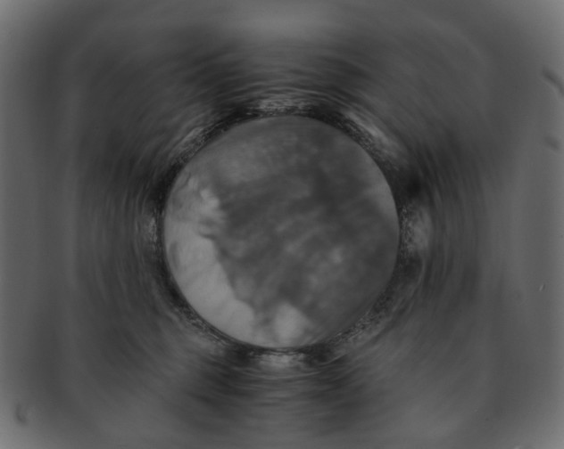 X0000091540375200709071109