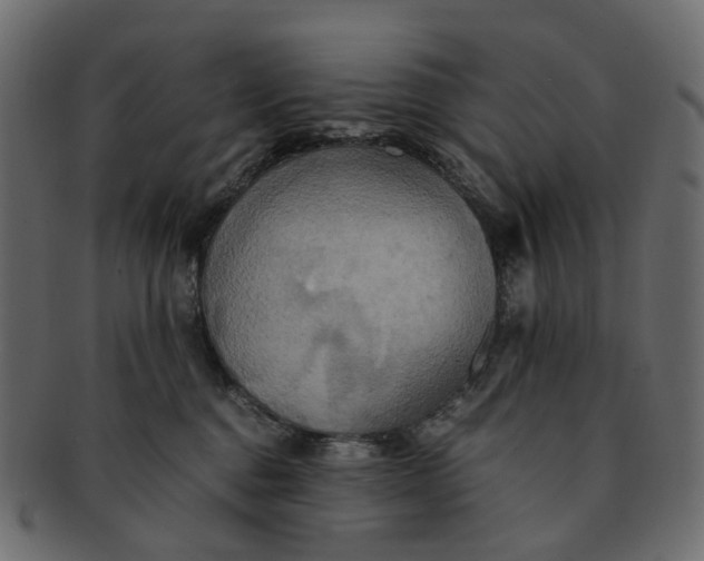 X0000091540376200709071109