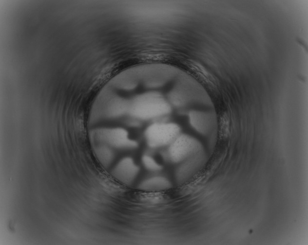 X0000091540377200709071109