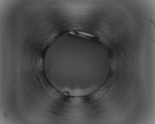 X0000091540378200709071109